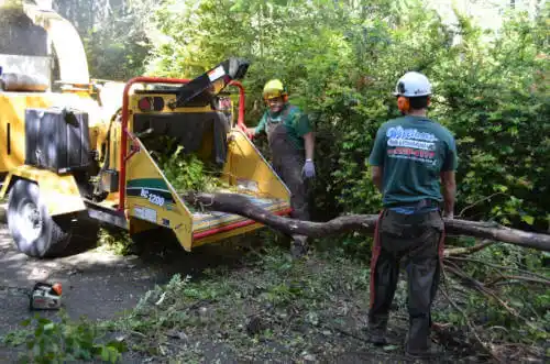 tree services Toksook Bay